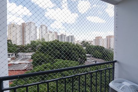 Varanda da Sala de apartamento para alugar com 2 quartos, 50m² em Vila Roque, São Paulo