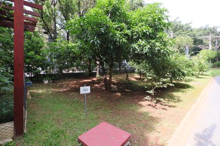 Apartamento para alugar com 75m², 3 quartos e 1 vagaÁrea comum - Área livre