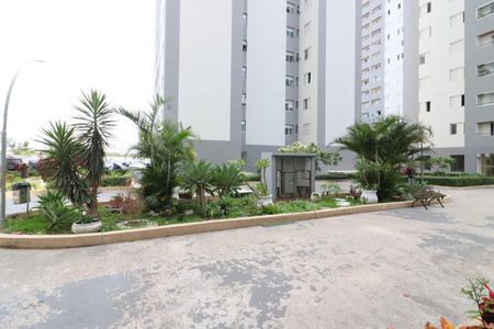 Apartamento para alugar com 75m², 3 quartos e 1 vagaÁrea comum - Área livre