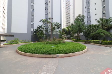 Apartamento para alugar com 75m², 3 quartos e 1 vagaÁrea comum - Área livre