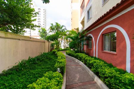 Apartamento para alugar com 65m², 2 quartos e 1 vaga Apartamento para alugar com 65m², 2 quartos e 1 vagaÁrea comum