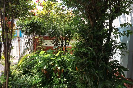 Vista do Quarto de casa à venda com 1 quarto, 70m² em Vila Brasilina, São Paulo