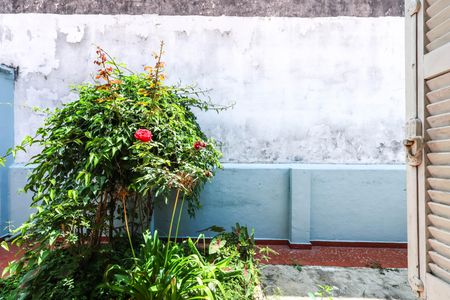 Sala de casa à venda com 1 quarto, 70m² em Vila Brasilina, São Paulo