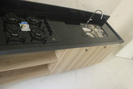 Apartamento para alugar com 52m², 2 quartos e sem vagaCozinha 