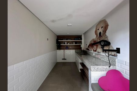 Apartamento para alugar com 29m², 1 quarto e sem vaga Apartamento para alugar com 29m², 1 quarto e sem vagaPet Care