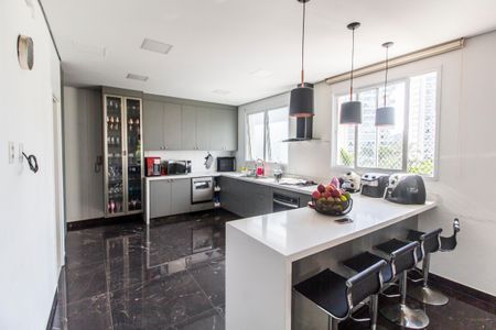 Apartamento para alugar com 367m², 5 quartos e 4 vagas Apartamento para alugar com 367m², 5 quartos e 4 vagasCozinha