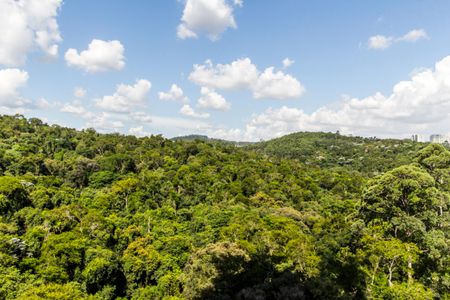 Apartamento para alugar com 367m², 5 quartos e 4 vagas Apartamento para alugar com 367m², 5 quartos e 4 vagasVista do Quarto 5