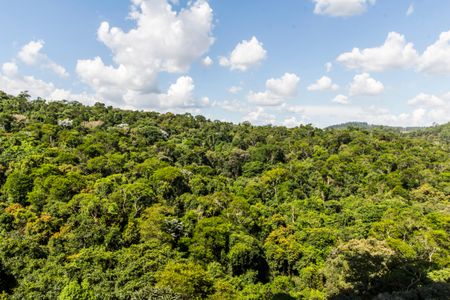 Apartamento para alugar com 367m², 5 quartos e 4 vagas Apartamento para alugar com 367m², 5 quartos e 4 vagasVista do Quarto 4