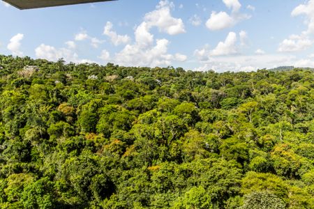 Apartamento para alugar com 367m², 5 quartos e 4 vagas Apartamento para alugar com 367m², 5 quartos e 4 vagasVista da Sala