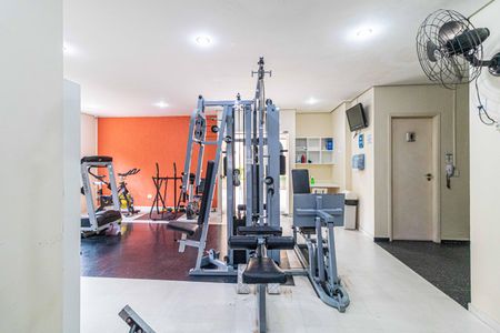 Apartamento à venda com 53m², 2 quartos e 1 vagaÁrea comum - Academia