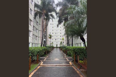 Apartamento à venda com 44m², 2 quartos e sem vaga Apartamento à venda com 44m², 2 quartos e sem vagaÁrea externa