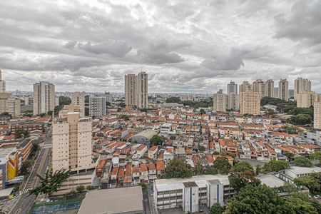 vistas_1 de apartamento para alugar com 3 quartos, 74m² em Vila das Merces, São Paulo