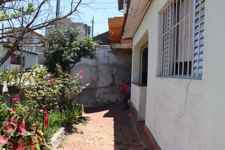 Casa à venda com 200m², 5 quartos e 2 vagasQuintal