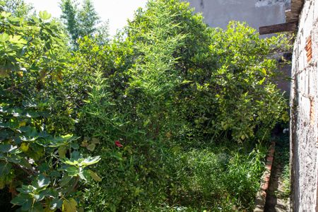 Casa à venda com 100m², 2 quartos e 2 vagasQuintal - Jardim