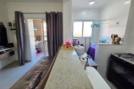 Sala de apartamento para alugar com 1 quarto, 56m² em Aviação, Praia Grande