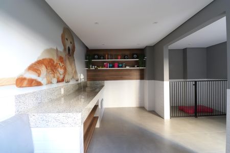 Apartamento para alugar com 30m², 1 quarto e sem vagaPet Care