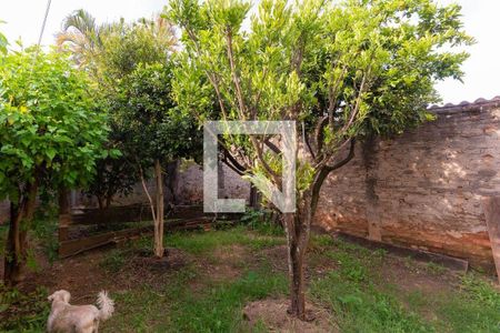 Casa à venda com 210m², 3 quartos e 5 vagas Casa à venda com 210m², 3 quartos e 5 vagasQuintal