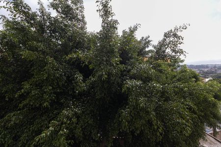 Apartamento para alugar com 55m², 2 quartos e 1 vagaVista Quarto 2