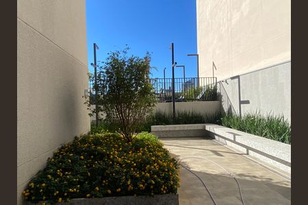 Apartamento para alugar com 30m², 1 quarto e sem vagaJardim