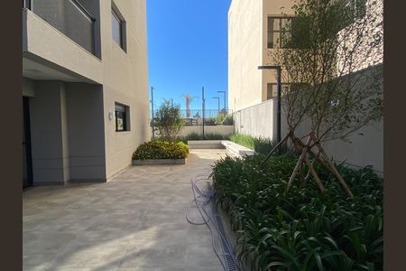 Apartamento para alugar com 30m², 1 quarto e sem vagaJardim