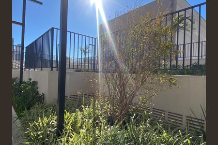 Apartamento para alugar com 30m², 1 quarto e sem vagaJardim