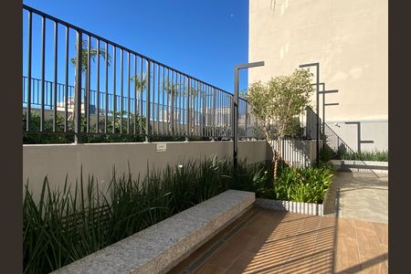 Apartamento para alugar com 30m², 1 quarto e sem vagaJardim