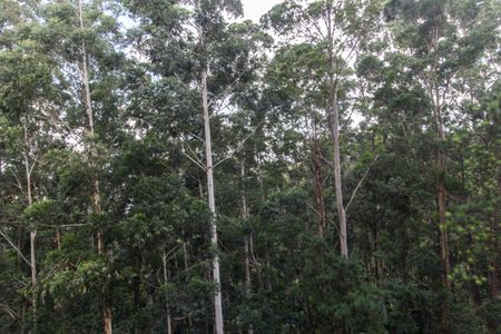 Apartamento para alugar com 202m², 3 quartos e 3 vagas Apartamento para alugar com 202m², 3 quartos e 3 vagasVista da Suíte