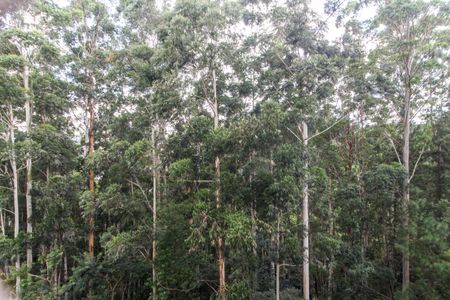 Apartamento para alugar com 202m², 3 quartos e 3 vagas Apartamento para alugar com 202m², 3 quartos e 3 vagasVista da Varanda