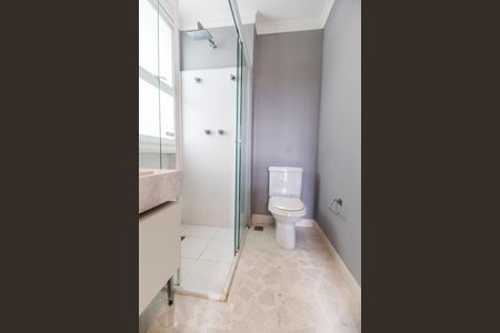 Apartamento para alugar com 202m², 3 quartos e 3 vagas Apartamento para alugar com 202m², 3 quartos e 3 vagasBanheiro da Suíte