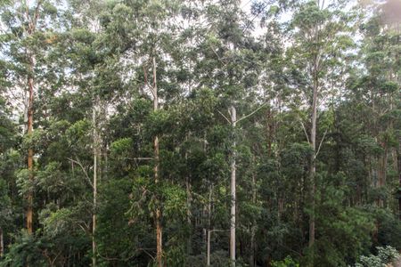 Apartamento para alugar com 202m², 3 quartos e 3 vagas Apartamento para alugar com 202m², 3 quartos e 3 vagasVista da Varanda