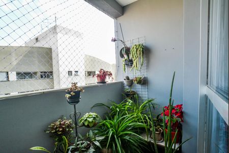Sala de apartamento à venda com 2 quartos, 89m² em Vila Gilda, Santo André