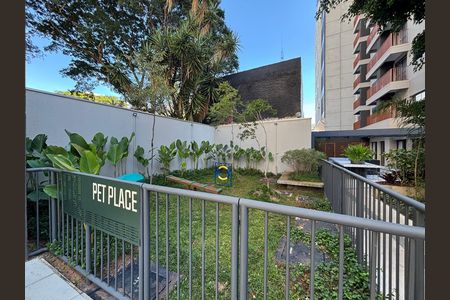 Studio para alugar com 24m², 1 quarto e sem vaga Studio para alugar com 24m², 1 quarto e sem vagaPetplace