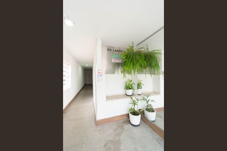 Apartamento para alugar com 63m², 2 quartos e sem vaga