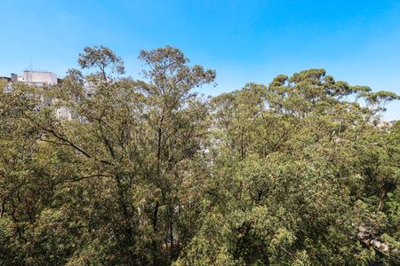 Sala de apartamento para alugar com 3 quartos, 55m² em Jardim Santa Emilia, São Paulo
