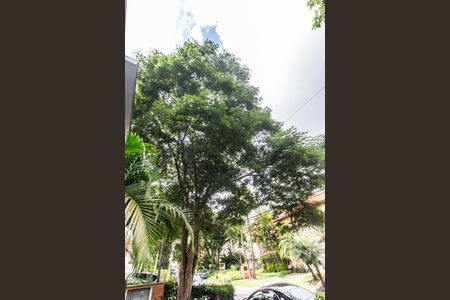 Casa à venda com 480m², 4 quartos e 3 vagas Casa à venda com 480m², 4 quartos e 3 vagasVista da Rua