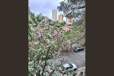 Apartamento à venda com 3 quartos, 56m² em Vila Gomes, São Paulo