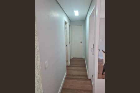 Foto 13 de apartamento à venda com 2 quartos, 52m² em Jardim Santa Eudoxia, Campinas