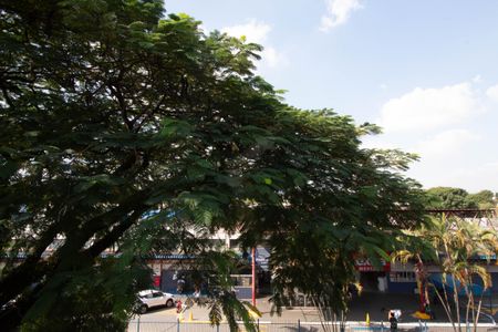 Apartamento para alugar com 63m², 3 quartos e 1 vagaVista - Quarto 3