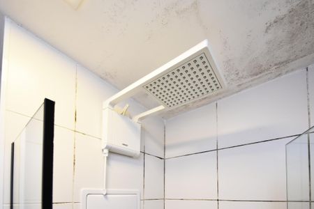 Studio para alugar com 24m², 1 quarto e sem vagabanheiro