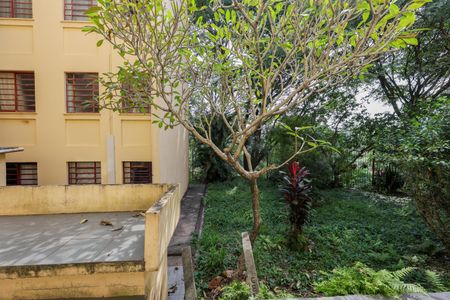 Apartamento para alugar com 52m², 2 quartos e 1 vagaVista do Quarto 2