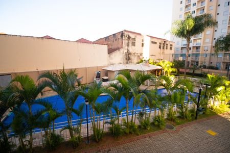 Apartamento à venda com 55m², 2 quartos e 1 vagaÁrea comum - Piscina