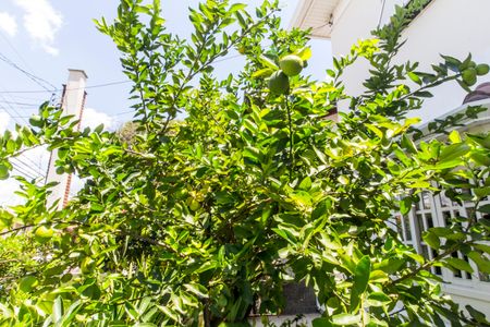 Casa de condomínio à venda com 360m², 4 quartos e 4 vagasVista da Rua