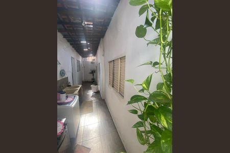Casa à venda com 3 quartos, 77m² em Vila Castelo Branco, Campinas
