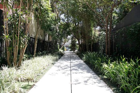 Apartamento para alugar com 46m², 1 quarto e 1 vagaÁrea Comum - Área Verde