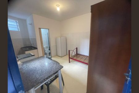 Studio de kitnet/studio para alugar com 1 quarto, 30m² em Jardim Santa Genebra II (Barao Geraldo), Campinas