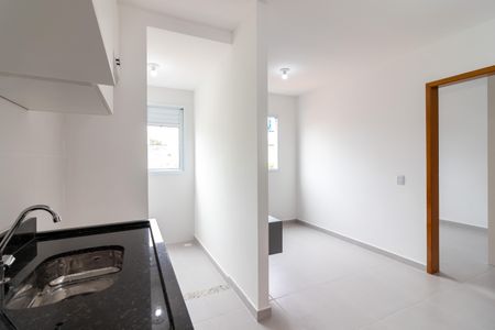 Apartamento para alugar com 35m², 1 quarto e sem vaga Apartamento para alugar com 35m², 1 quarto e sem vagaCozinha