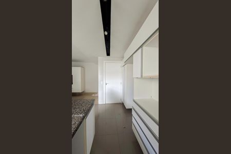 Cozinha de apartamento para alugar com 2 quartos, 97m² em Santo Antônio, Belo Horizonte