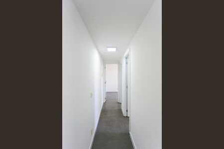 Corredor de apartamento para alugar com 2 quartos, 40m² em Vila Andrade, São Paulo