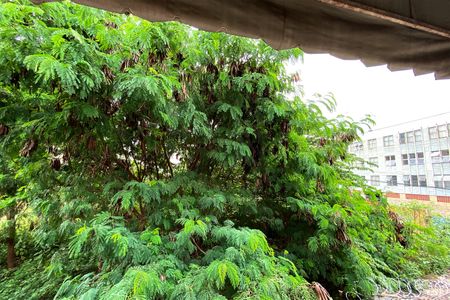 Vista da Sala de apartamento à venda com 2 quartos, 70m² em Nova Suíça, Belo Horizonte