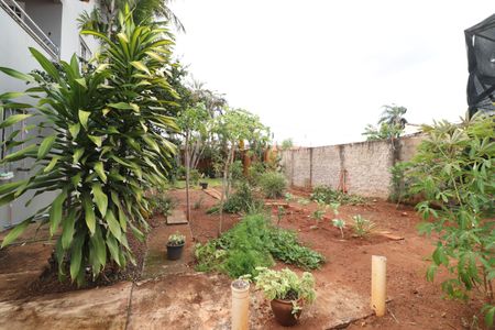 Casa para alugar com 285m², 6 quartos e 3 vagasQuintal